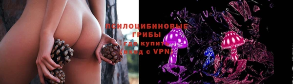 мдпв Киреевск