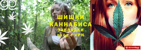 мдпв Киреевск