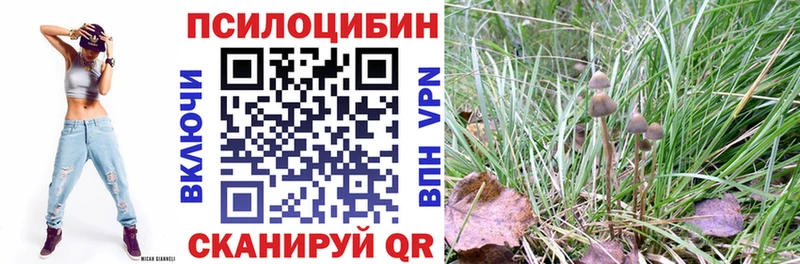 Купить  Валдай  Псилоцибиновые грибы мухоморы 