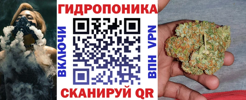 Купить  Валдай  Бошки Шишки индика 